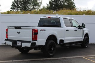 2025 Ford Super Duty F-250 SRW in Antigonish, Nova Scotia - 3 - w320h240px