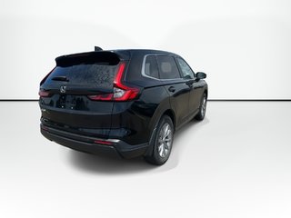 2024 Honda CR-V in Antigonish, Nova Scotia - 2 - w320h240px