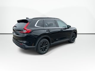 2024 Honda CR-V in Antigonish, Nova Scotia - 2 - w320h240px