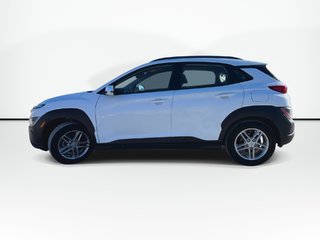 Hyundai Kona Essential | Cam | HtdSeats | Warranty to 2027 2023 à Saint John, Nouveau-Brunswick - 5 - w320h240px