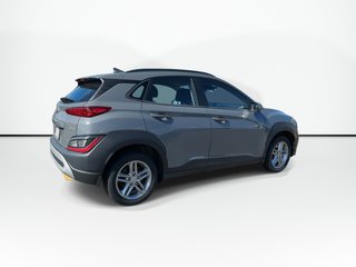 2023 Hyundai Kona in Antigonish, Nova Scotia - 5 - w320h240px