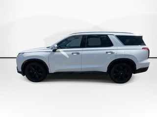 2023 Hyundai Palisade Urban | Lthr | Roof | Cam | Warranty to 2028 in Saint John, New Brunswick - 5 - w320h240px