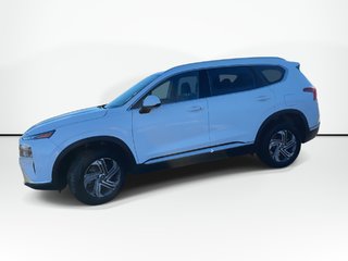 2023 Hyundai Santa Fe Preferred | Cam | HtdsSeat | Aux | Warranty 2028 in Saint John, New Brunswick - 5 - w320h240px