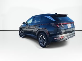 2022 Hyundai Tucson Hybrid Luxury | Roof | HtdSeats | Lthr | Warranty to 2030 in Saint John, New Brunswick - 6 - w320h240px