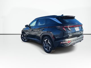 2022 Hyundai Tucson Hybrid Luxury | Roof | HtdSeats | Lthr | Warranty to 2030 in Saint John, New Brunswick - 6 - w320h240px