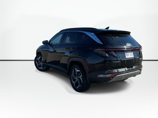 Hyundai Tucson Hybrid Ultimate | Roof | Lthr | Nav | Warranty to 2031 2023 à Saint John, Nouveau-Brunswick - 6 - w320h240px