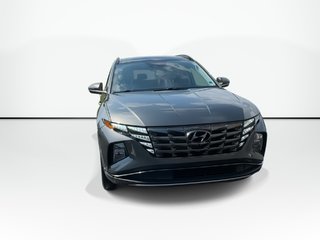 2023 Hyundai Tucson Hybrid in Antigonish, Nova Scotia - 3 - w320h240px