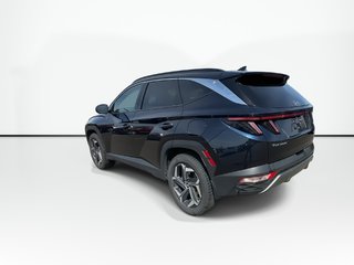 2023 Hyundai Tucson Hybrid Luxury | Roof | Lthr | HtdSeat | Warranty to 2031 in Saint John, New Brunswick - 6 - w320h240px