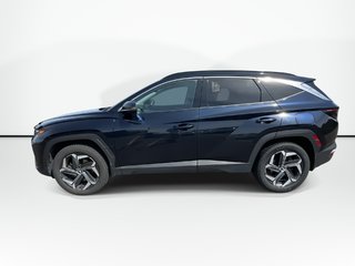2023 Hyundai Tucson Hybrid Luxury | Roof | Lthr | HtdSeat | Warranty to 2031 in Saint John, New Brunswick - 5 - w320h240px