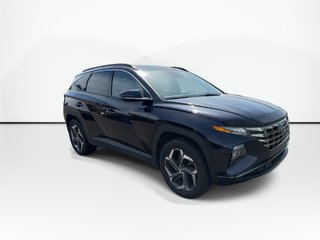 2023 Hyundai Tucson Hybrid Luxury | Roof | Lthr | HtdSeat | Warranty to 2031 in Saint John, New Brunswick - 2 - w320h240px