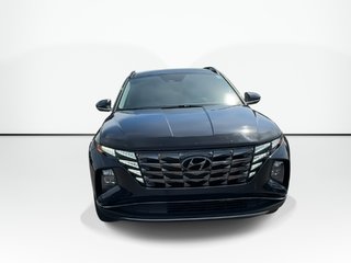 2023 Hyundai Tucson Hybrid Luxury | Roof | Lthr | HtdSeat | Warranty to 2031 in Saint John, New Brunswick - 3 - w320h240px