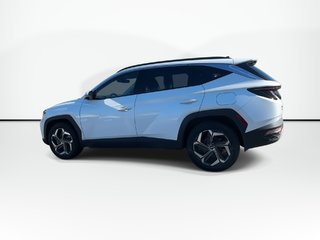 2024 Hyundai Tucson Hybrid Luxury | Roof | Lthr | HtdSeat | Warranty to 2032 in Saint John, New Brunswick - 6 - w320h240px