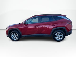 2023 Hyundai Tucson in Antigonish, Nova Scotia - 5 - w320h240px