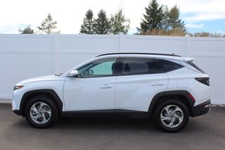 2024 Hyundai Tucson Trend | Roof | HtdSeats | Cam | Warranty to 2029 in Saint John, New Brunswick - 6 - w320h240px