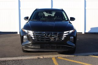 2024 Hyundai Tucson Trend | Roof | HtdSeats | Cam | Warranty to 2029 in Saint John, New Brunswick - 2 - w320h240px