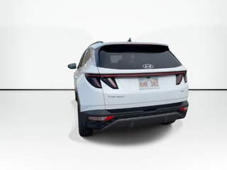 2024 Hyundai Tucson in Antigonish, Nova Scotia - 6 - w320h240px