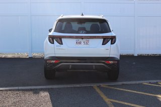 Hyundai Tucson Trend | Roof | HtdSeats | Cam | Warranty to 2029 2024 à Saint John, Nouveau-Brunswick - 6 - w320h240px