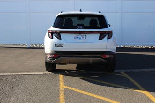 Hyundai Tucson Trend | Roof | HtdSeats | Warranty to 2029 2024 à Saint John, Nouveau-Brunswick - 6 - w320h240px