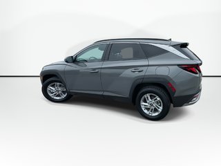 2025 Hyundai Tucson in Antigonish, Nova Scotia - 6 - w320h240px