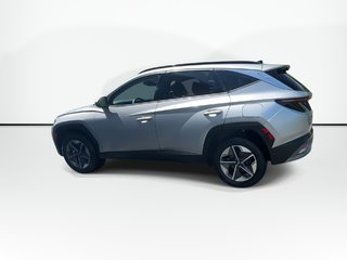 2025 Hyundai Tucson Preferred Trend | Lthr | Roof | Warranty to 2030 in Saint John, New Brunswick - 6 - w320h240px