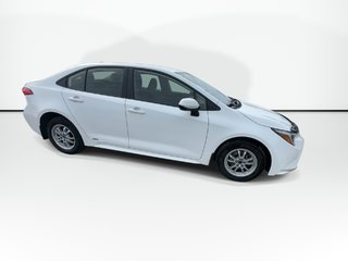 2024 Toyota Corolla in Antigonish, Nova Scotia - 4 - w320h240px