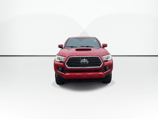2018 Toyota Tacoma SR5 | Cam | Bluetooth | Cruise | CD | AUX | USB in Saint John, New Brunswick - 5 - w320h240px