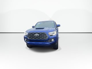 2022 Toyota Tacoma in Antigonish, Nova Scotia - 6 - w320h240px