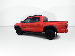2023 Toyota Tacoma TRD-Pro | Manual | Lthr | Cam | Warranty to 2028 in Saint John, New Brunswick - 6 - w320h240px