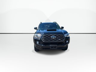 2023 Toyota Tacoma in Antigonish, Nova Scotia - 3 - w320h240px