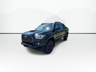 2023 Toyota Tacoma in Antigonish, Nova Scotia - 4 - w320h240px