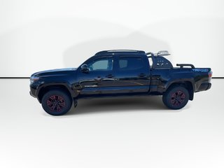 2023 Toyota Tacoma in Antigonish, Nova Scotia - 5 - w320h240px