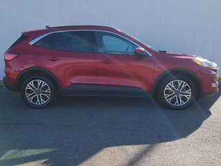 2020 Ford Escape SEL | Leather | Cam | USB | HtdWheel | Bluetooth in Saint John, New Brunswick - 2 - w320h240px