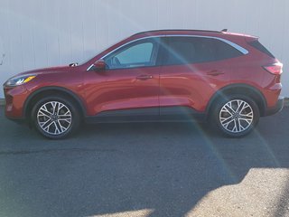 2020 Ford Escape SEL | Leather | Cam | USB | HtdWheel | Bluetooth in Saint John, New Brunswick - 6 - w320h240px