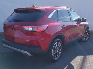 2020 Ford Escape SEL | Leather | Cam | USB | HtdWheel | Bluetooth in Saint John, New Brunswick - 3 - w320h240px