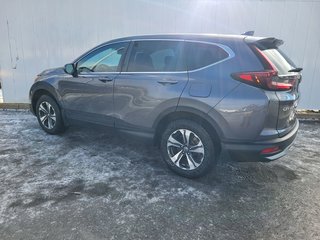 2020 Honda CR-V in Antigonish, Nova Scotia - 5 - w320h240px