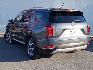 2021 Hyundai Palisade in Antigonish, Nova Scotia - 5 - w320h240px