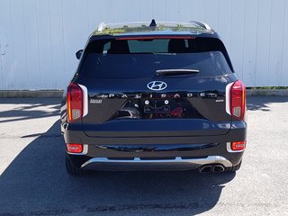 2022 Hyundai Palisade Ultimate Calligraphy | Leather | Roof | Nav | Cam in Saint John, New Brunswick - 4 - w320h240px