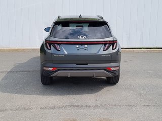 2022 Hyundai Tucson Hybrid Luxury | Leather | Roof | Cam | USB | Htd. Wheel in Saint John, New Brunswick - 4 - w320h240px