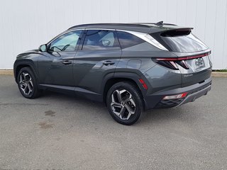 2022 Hyundai Tucson Hybrid Luxury | Leather | Roof | Cam | USB | Htd. Wheel in Saint John, New Brunswick - 5 - w320h240px