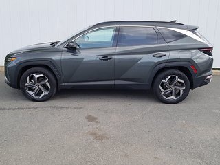 2022 Hyundai Tucson Hybrid Luxury | Leather | Roof | Cam | USB | Htd. Wheel in Saint John, New Brunswick - 6 - w320h240px