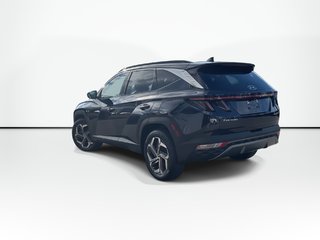 2022 Hyundai Tucson Hybrid in Antigonish, Nova Scotia - 6 - w320h240px