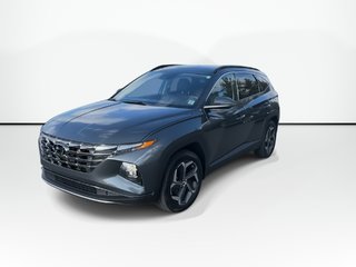 2024 Hyundai Tucson Hybrid Luxury | Leather | Roof | Cam | Warranty to 2031 in Saint John, New Brunswick - 4 - w320h240px