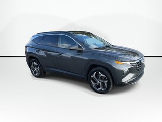 2024 Hyundai Tucson Hybrid Luxury | Leather | Roof | Cam | Warranty to 2031 in Saint John, New Brunswick - 2 - w320h240px