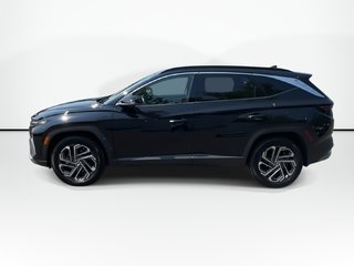 2025 Hyundai Tucson Hybrid Ultimate | Leather | Roof | Warranty to 2030 in Saint John, New Brunswick - 5 - w320h240px