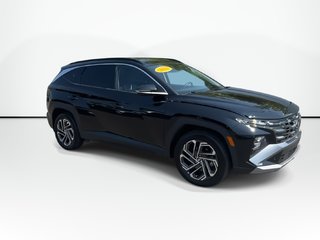 2025 Hyundai Tucson Hybrid Ultimate | Leather | Roof | Warranty to 2030 in Saint John, New Brunswick - 2 - w320h240px