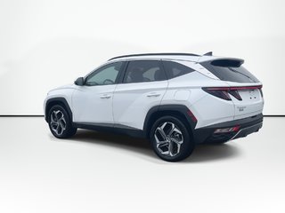 Hyundai Tucson Plug-In Hybrid Ultimate | Leather | Roof | Nav | Cam | USB 2024 à Saint John, Nouveau-Brunswick - 6 - w320h240px