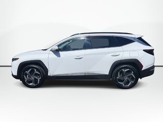 2024 Hyundai Tucson Plug-In Hybrid Ultimate | Leather | Roof | Nav | Cam | HtdWheel in Saint John, New Brunswick - 5 - w320h240px