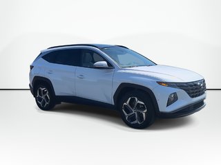 2024 Hyundai Tucson Plug-In Hybrid Ultimate | Leather | Roof | Nav | Cam | HtdWheel in Saint John, New Brunswick - 2 - w320h240px