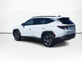 2024 Hyundai Tucson Plug-In Hybrid Ultimate | Leather | Roof | Nav | Cam | HtdWheel in Saint John, New Brunswick - 6 - w320h240px