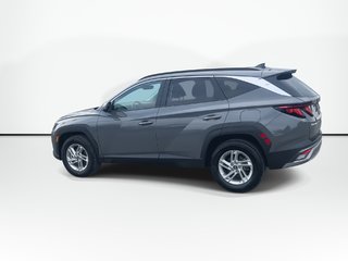 Hyundai Tucson Preferred | Cam | USB | HtdWheel 2025 à Saint John, Nouveau-Brunswick - 6 - w320h240px
